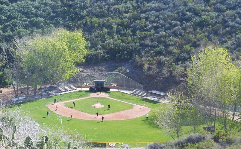 Minors Field
