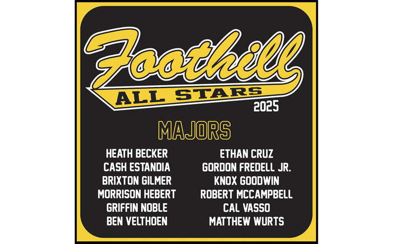 2025 FHLL All Stars Teams