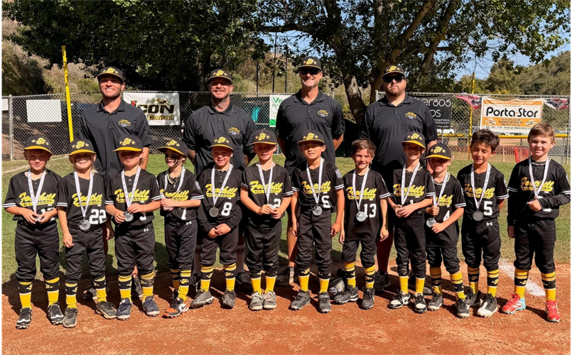 FHLL 7U All Stars capture 2nd place!