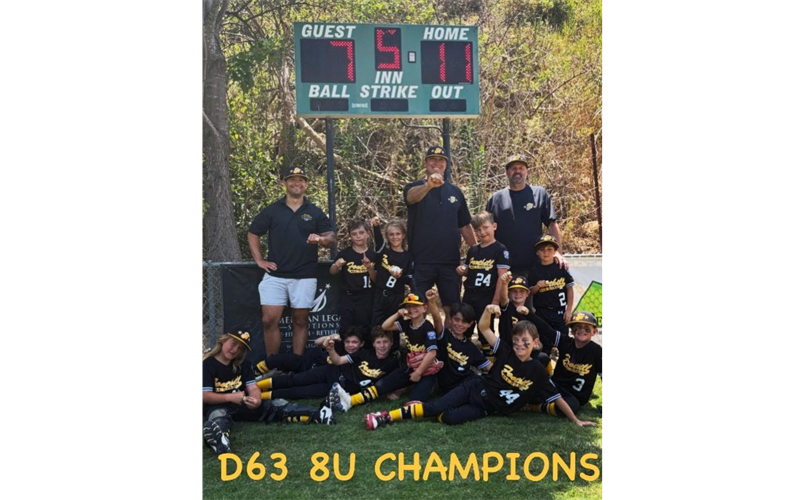 FHLL 8U All Stars take 1st place!